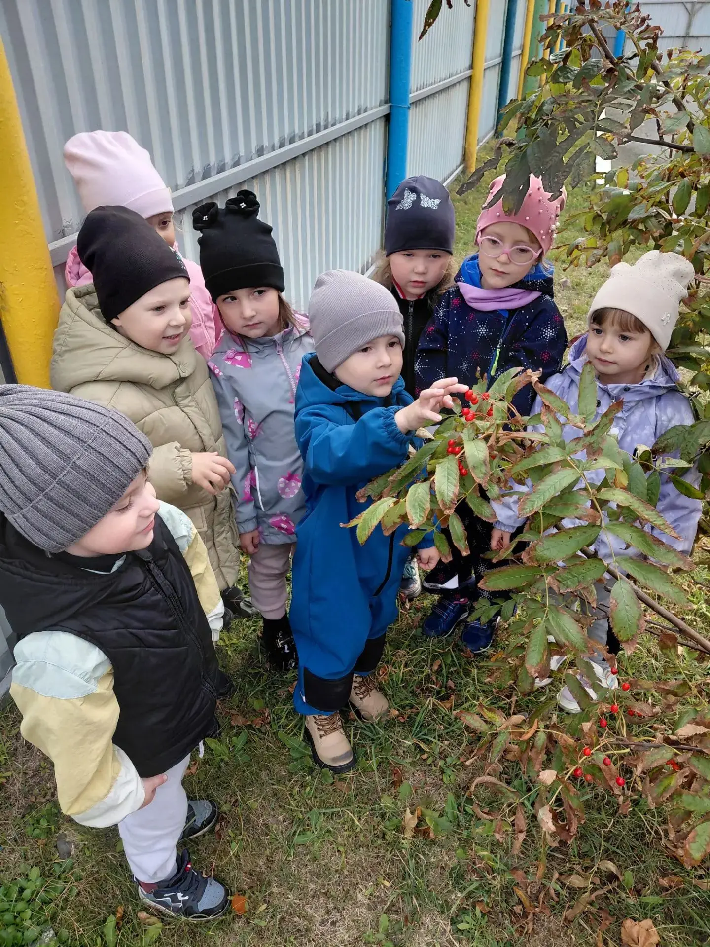 Осенняя прогулка группы «Рябинка»: учимся видеть красоту природы 🍂🌳