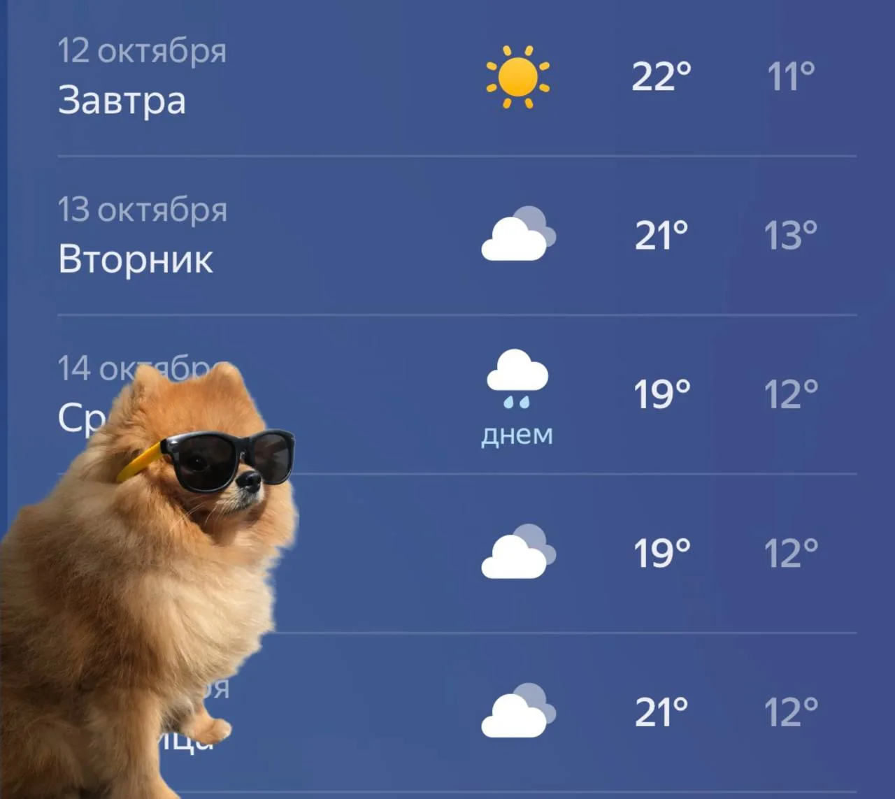 ☀️Не перестаем удивляться солнечному октябрю!