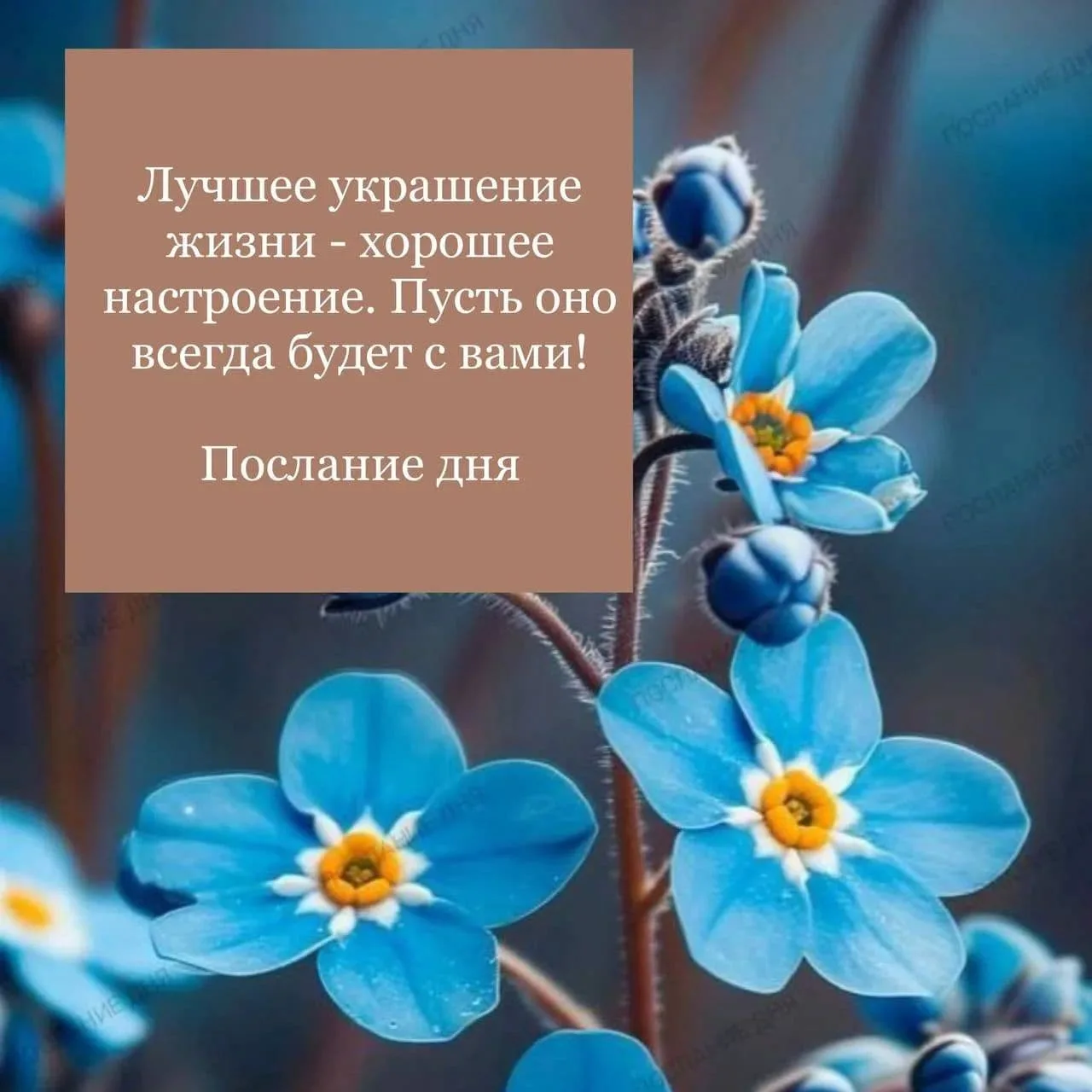Доброе утро красотулечки мои прекрасные 🌹🫠хорошего самочувствия и прекрасного настрое...