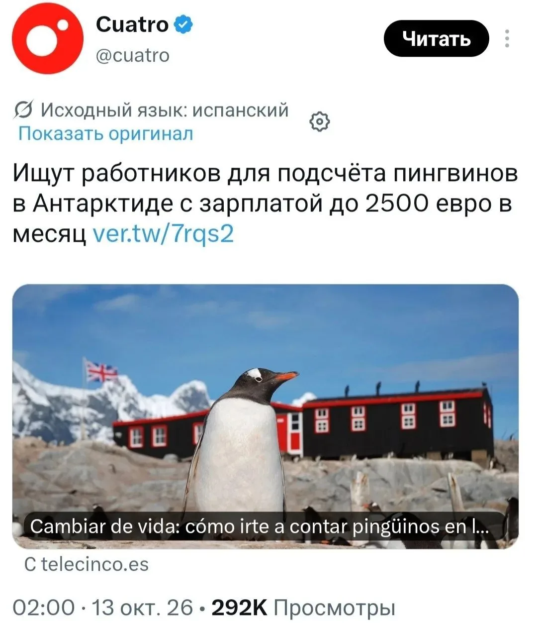 Мечтали работать с пингвинами? В Антарктиде ищут смотрителя, который будет наблюдать за...