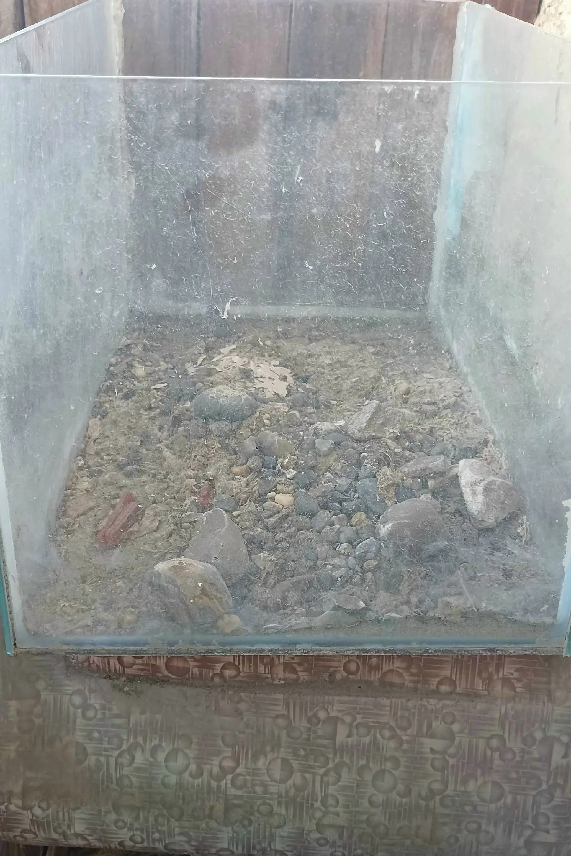 Отдам аквариум, размеры 30х30х50 см, забирать со СХИ