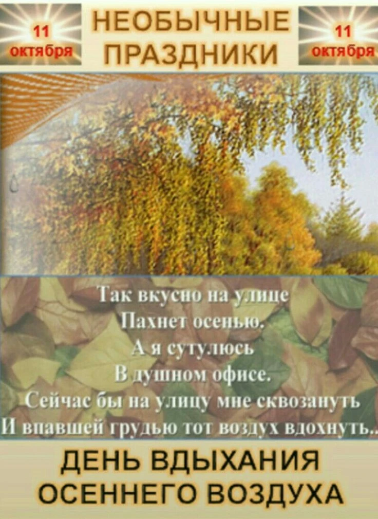 День вдыхания осеннего воздуха