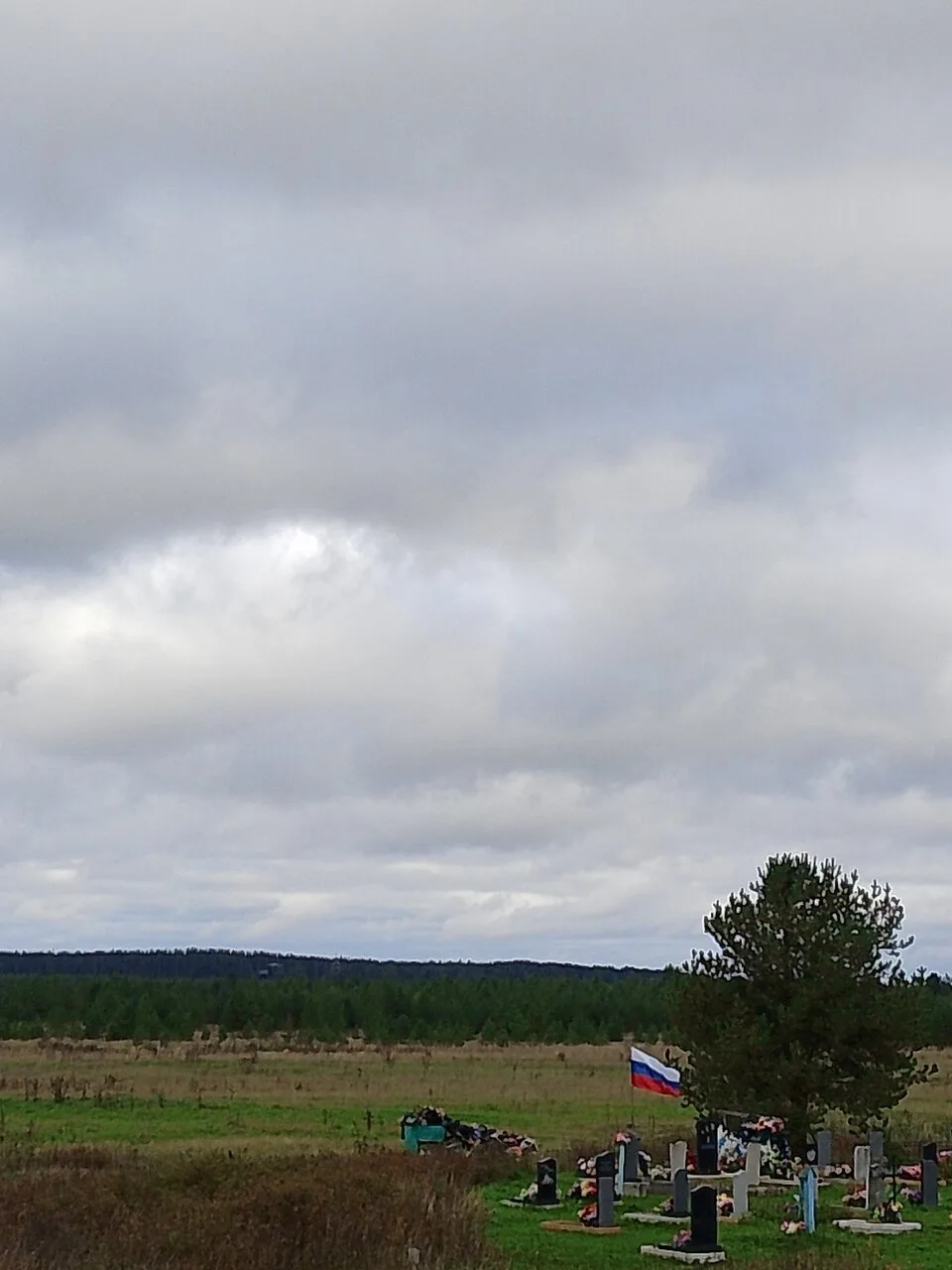 Кладбище в Шардонемье убрали после обращения жителей ⚡