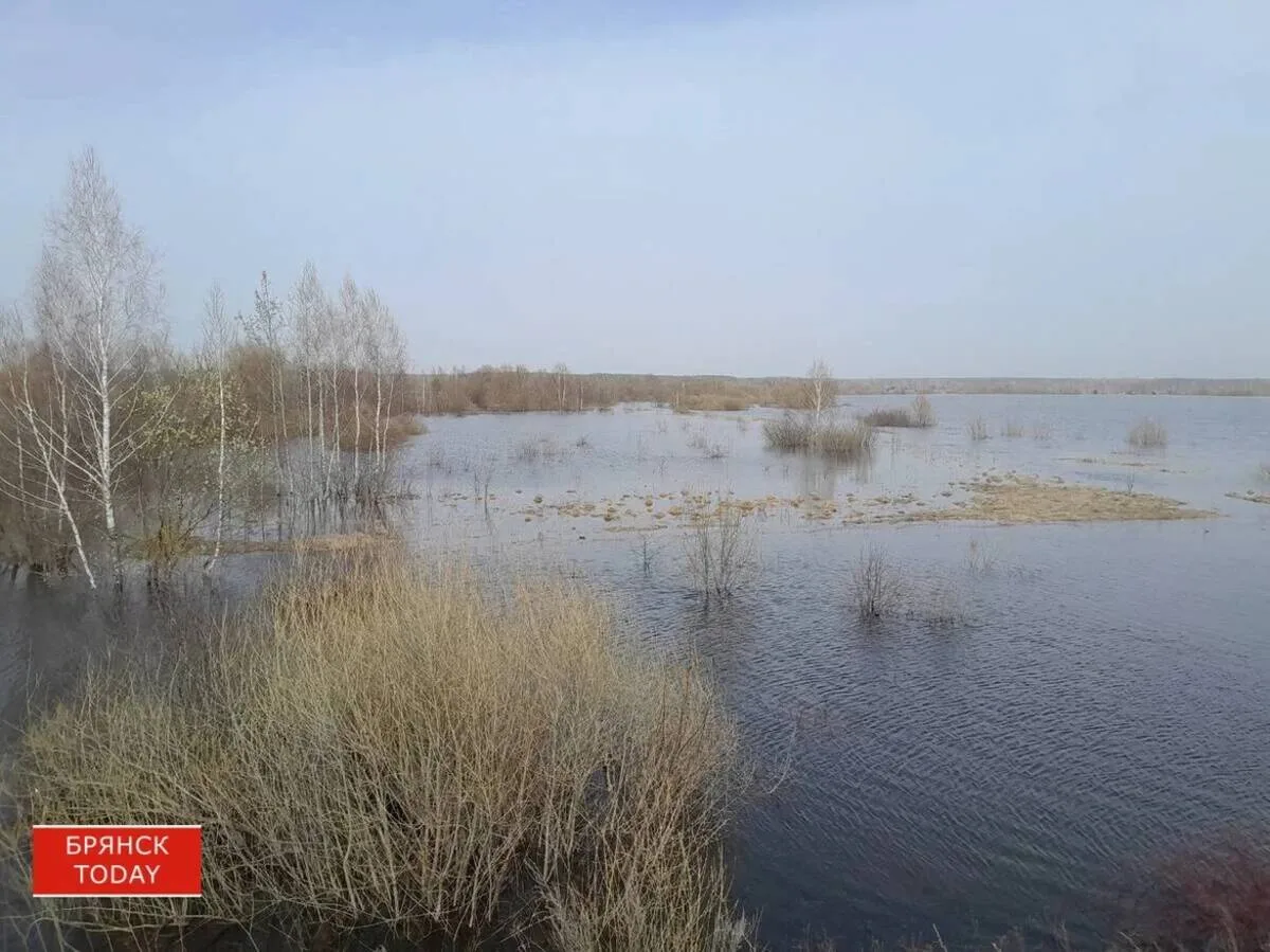 В Брянской области насчитали 25,1 тыс. участков в зонах подтопления
