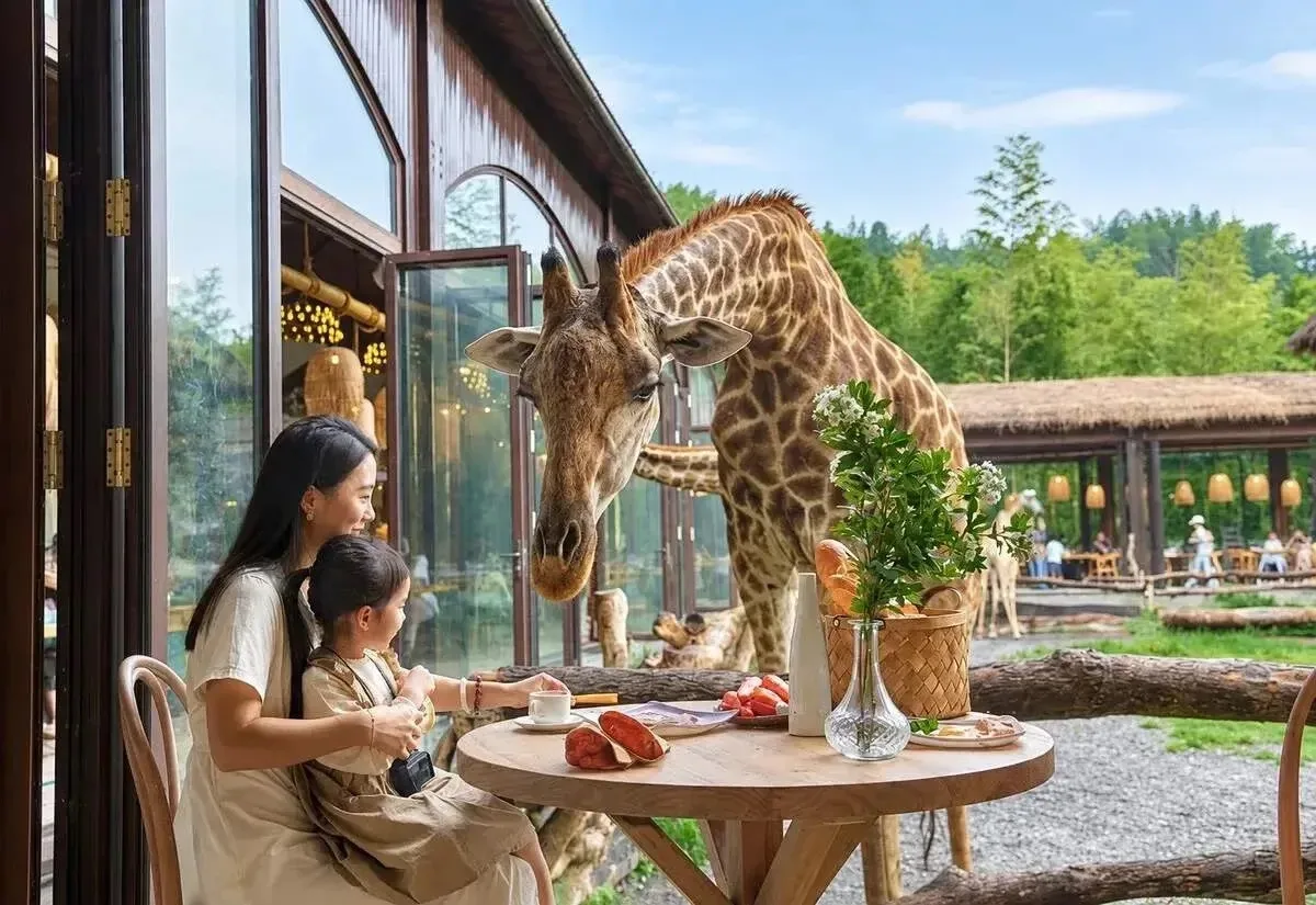 🦒 А что, если отправиться всей семьёй… в гости к жирафам?