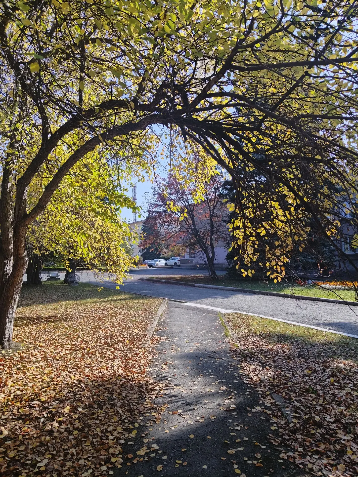 🍁 Доброе утро, #нижнийтагил🍁