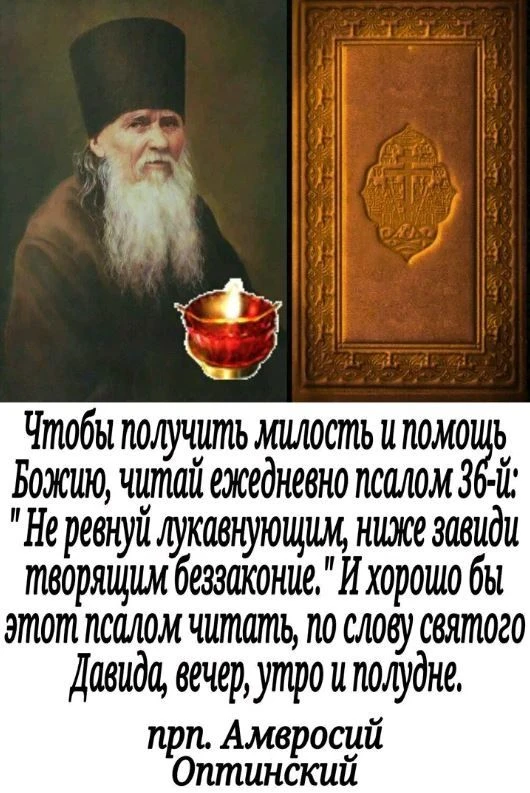 🕊️🌿❤😊