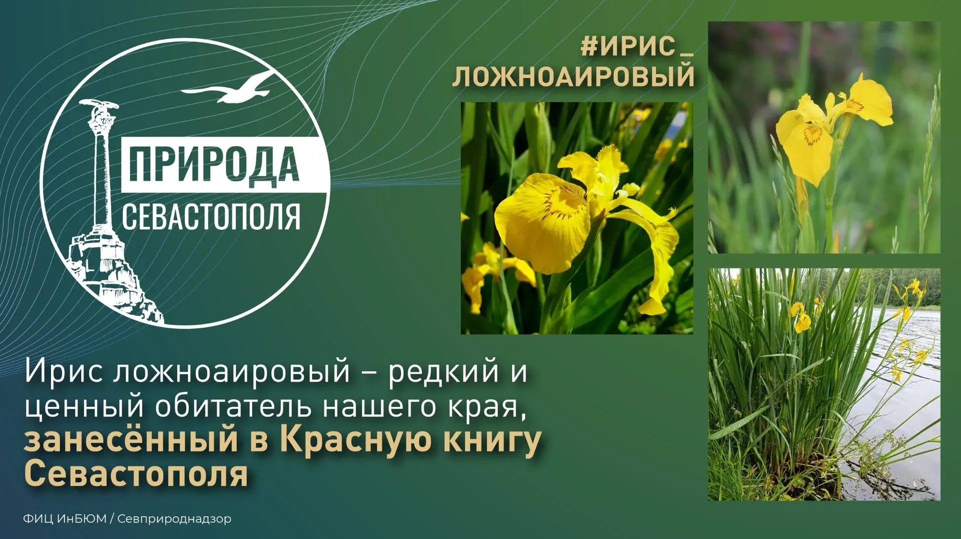 #ПриродаСевастополя