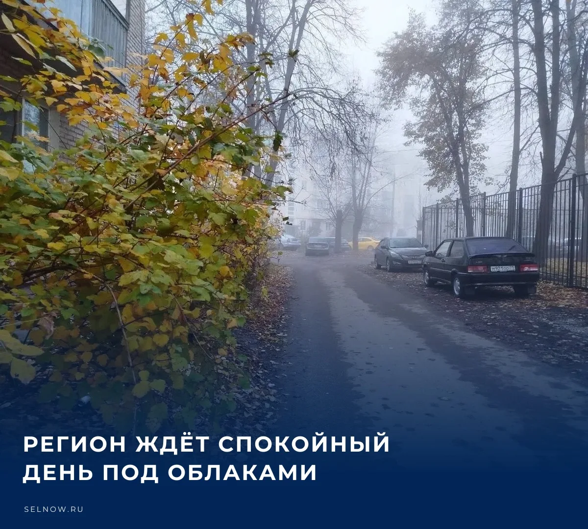 ☁️ Пасмурная пауза​