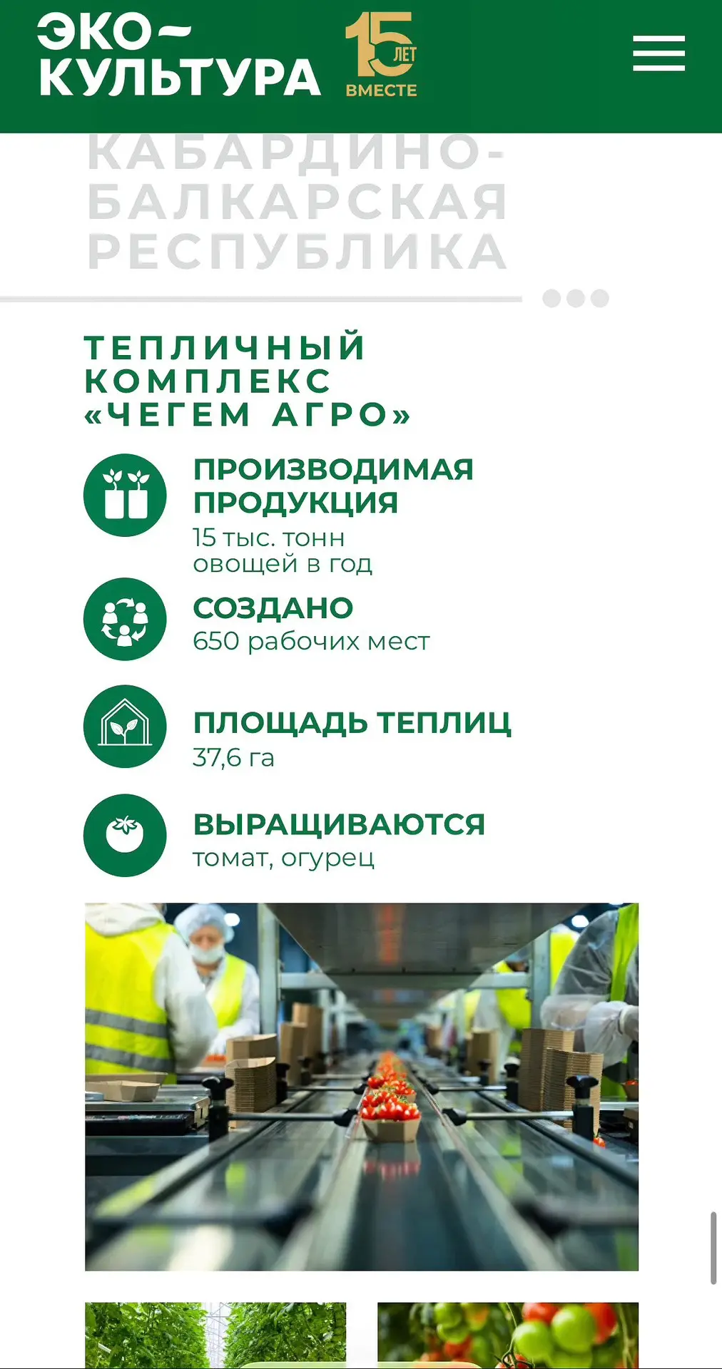Агрохолдингу «ЭКО-культура» (в который, согласно информации на сайте, входит тепличный ...