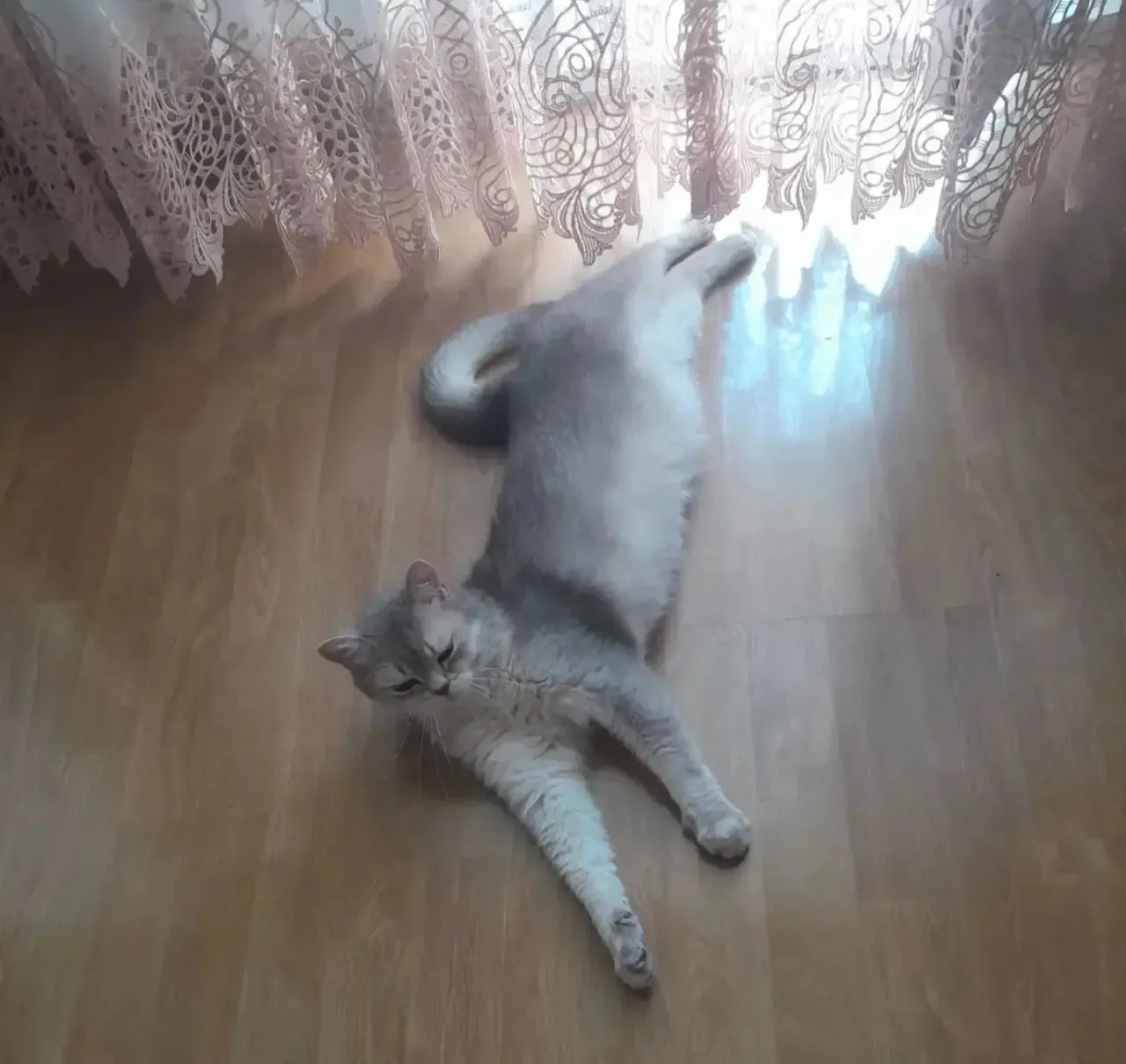 #отподписчицы