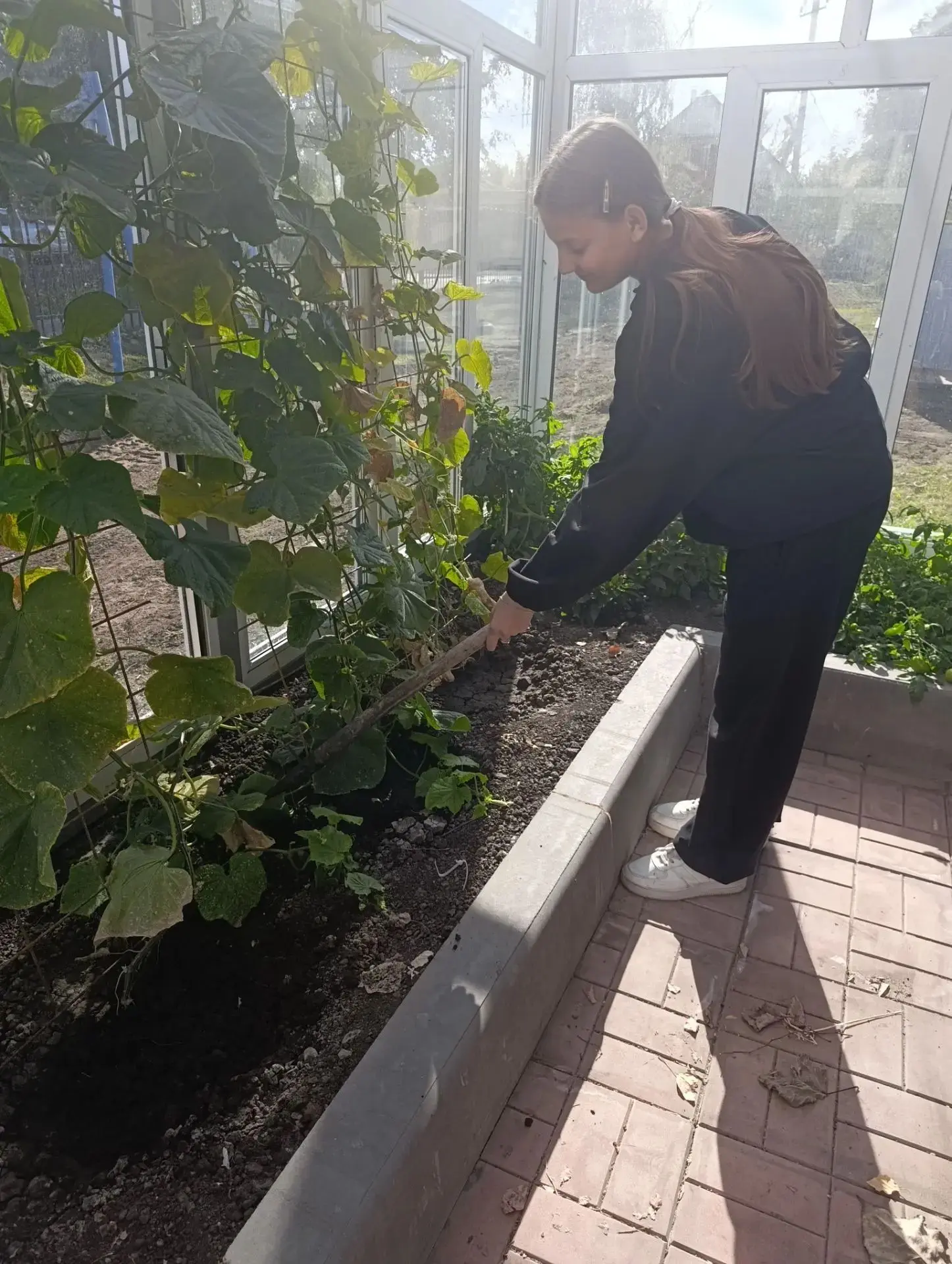 БУДНИ ЮНЫХ АГРАРИЕВ 🌱