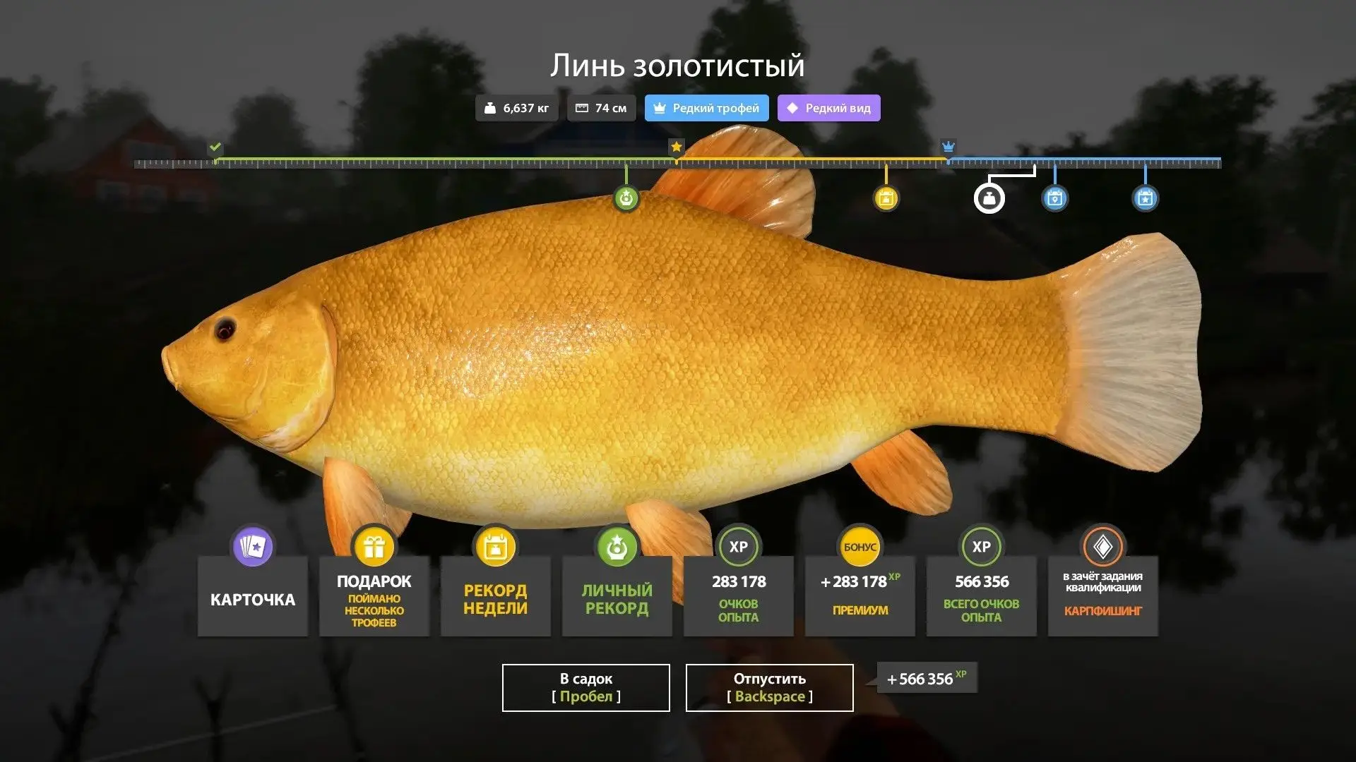 #комариное@rr4pepper