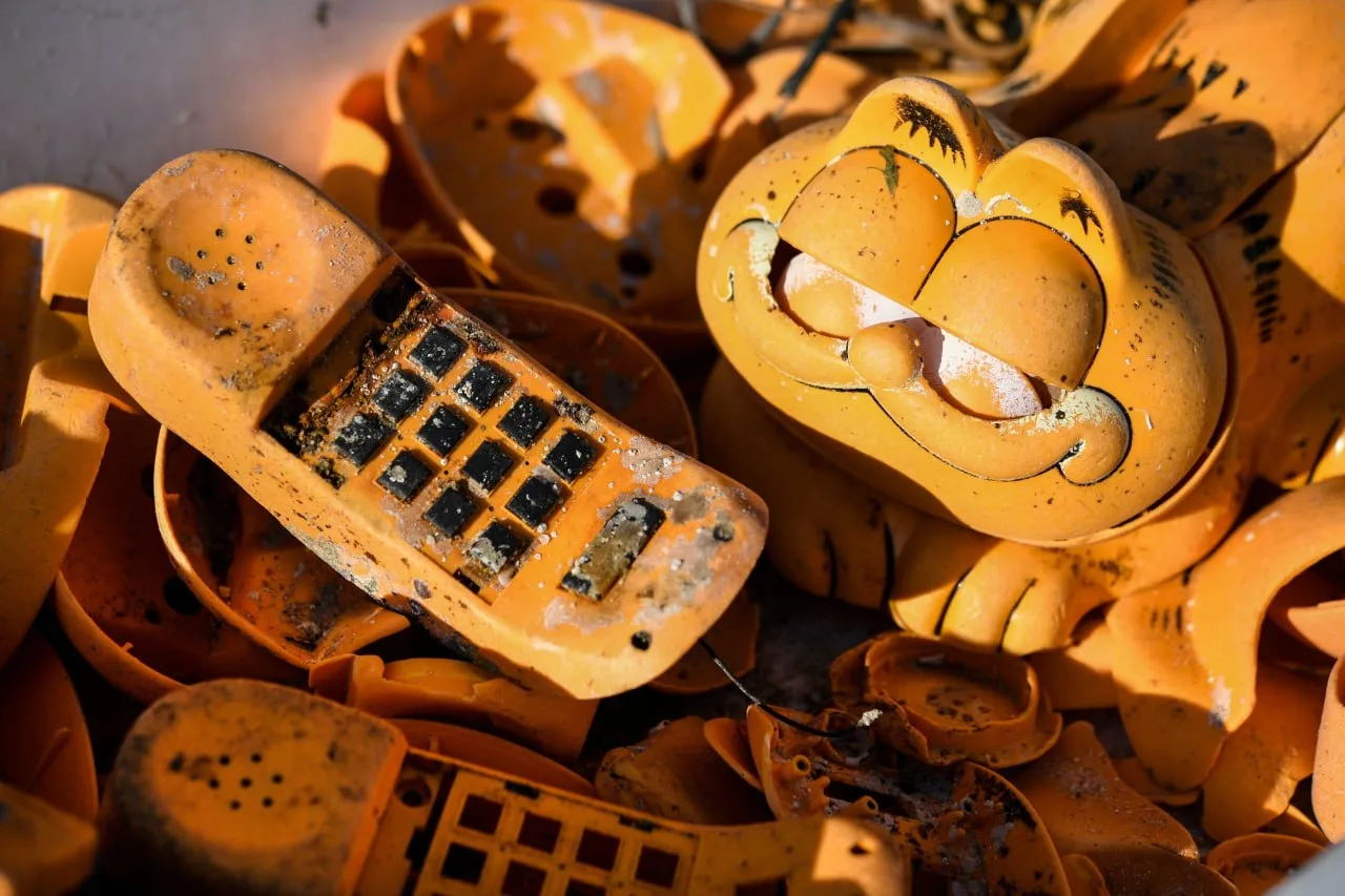 📱 Тайна котофонов на берегу