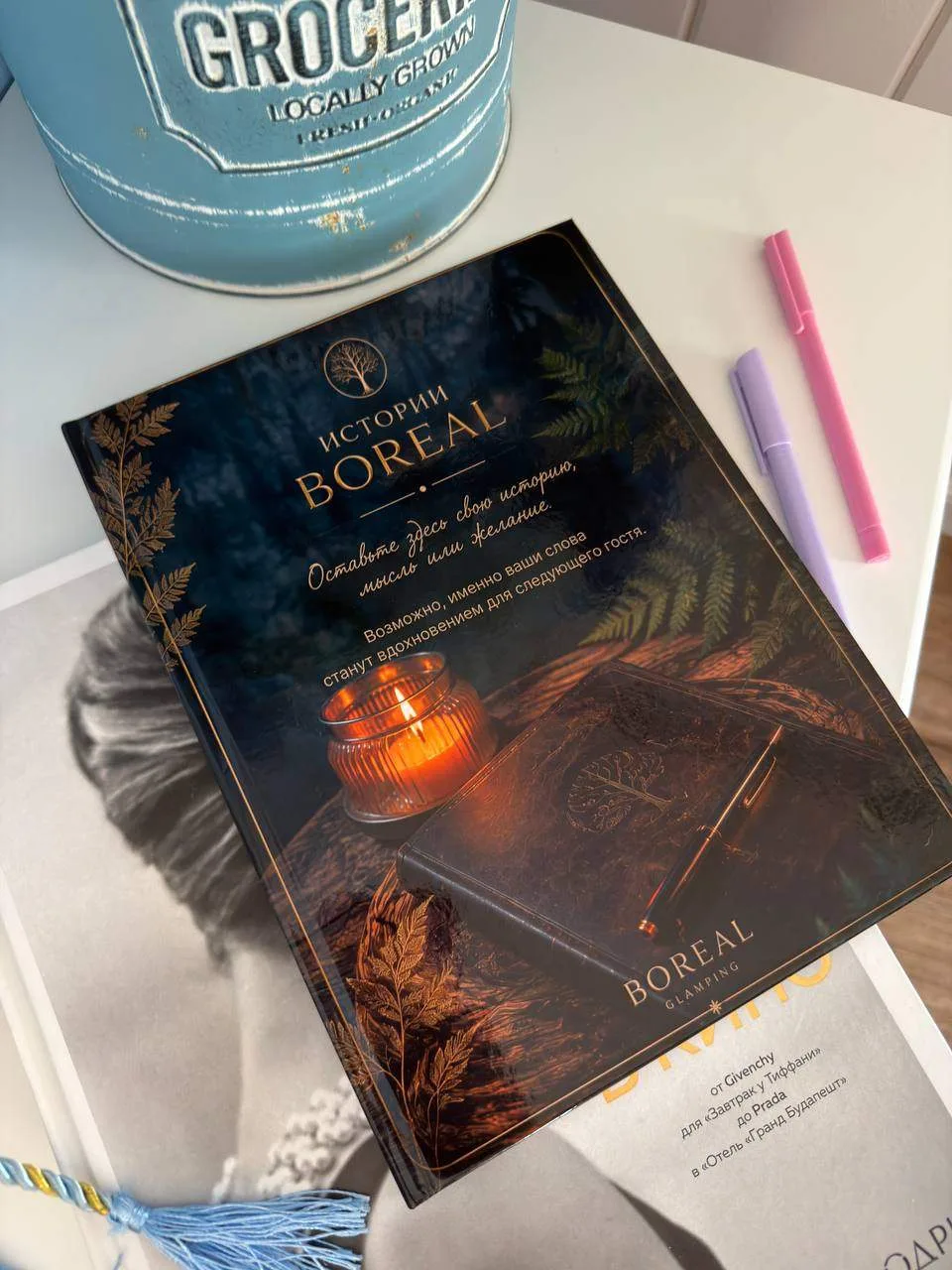 📖 ОДНАЖДЫ ВЫ ВЕРНЁТЕСЬ В BOREAL. И ВСТРЕТИТЕ СЕБЯ ПРЕЖНЕГО.