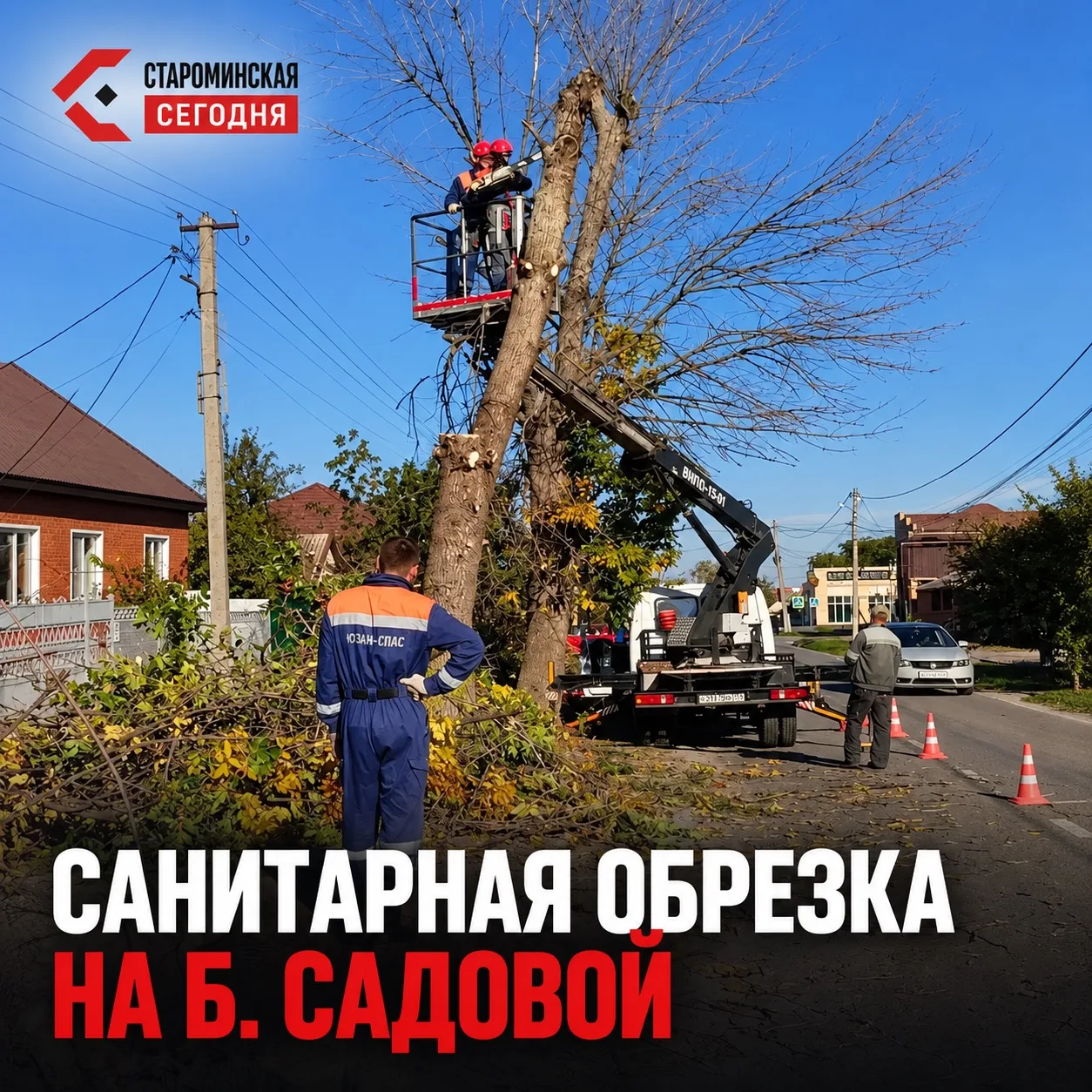 🌳 На Большой Садовой убирают аварийные деревья