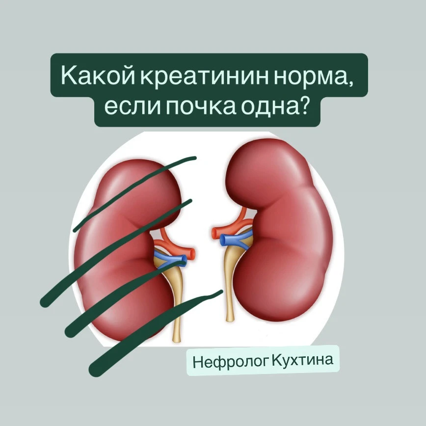 Новый пост - история с приёма - в карточках 🖼