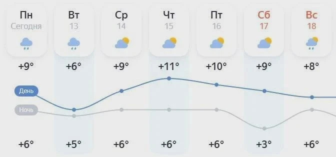 ☀️ В Петербурге ждут солнца во второй половине недели