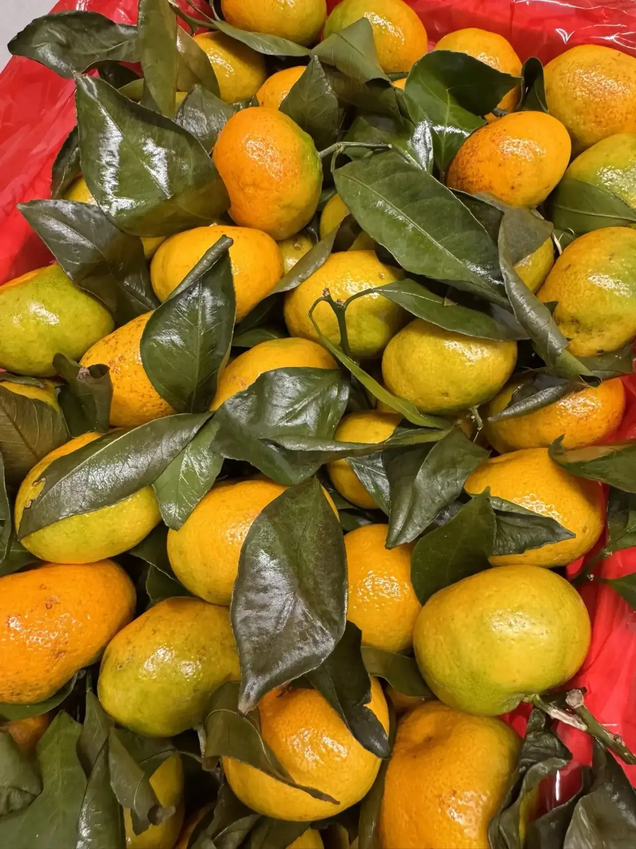 Мандарины 🍊 беби привезли - сочные , ароматные 😍 улетают как семечки