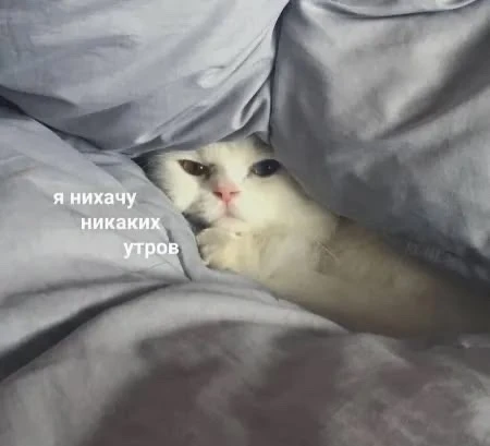 Доброе утро❤️