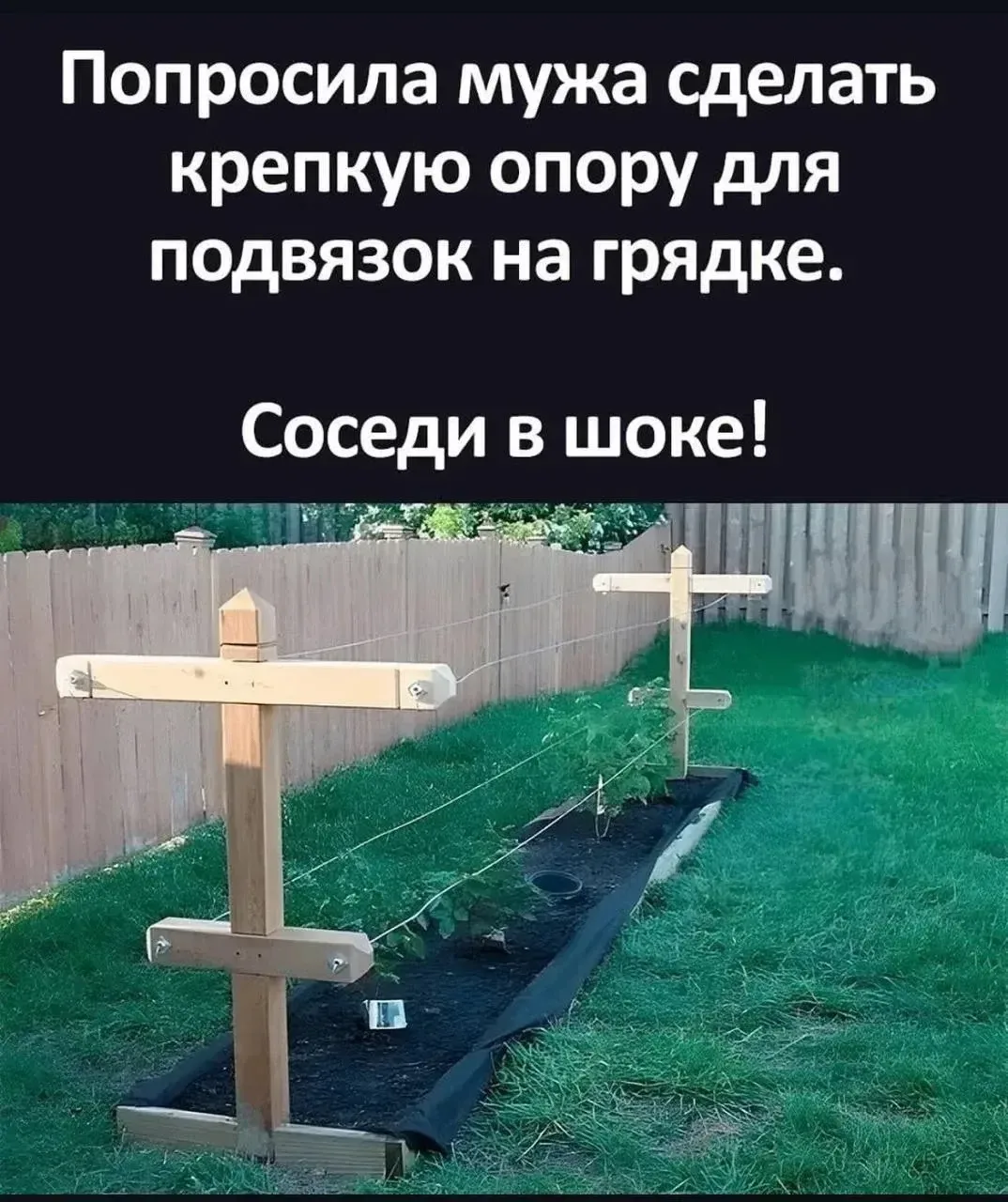 🎧 ПриколПодписаться 👈