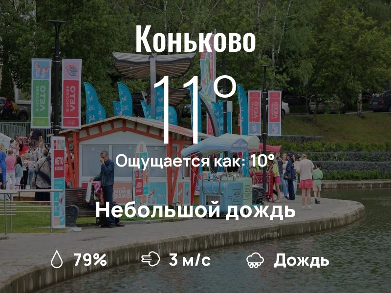 Что с погодой в Коньково?