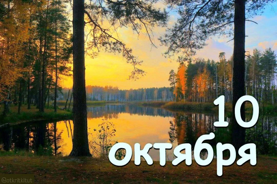 Праздники 10 октября 🗓️
