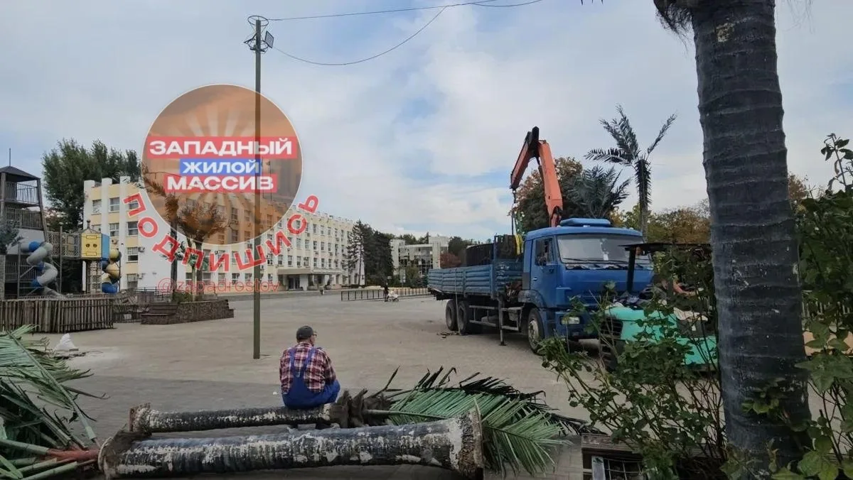 🎉 Наконец-то! В Советском районе Ростова начали убирать территорию напротив районной а...