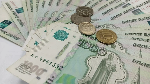 Почти 50 млн рублей похитили мошенники у нижегородцев на прошлой неделе