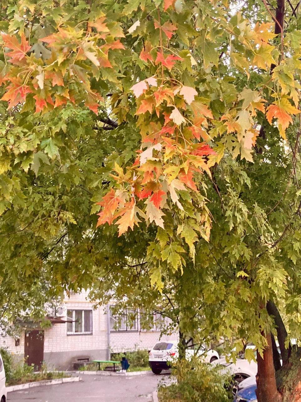Доброе утро ❤️Тихорецк