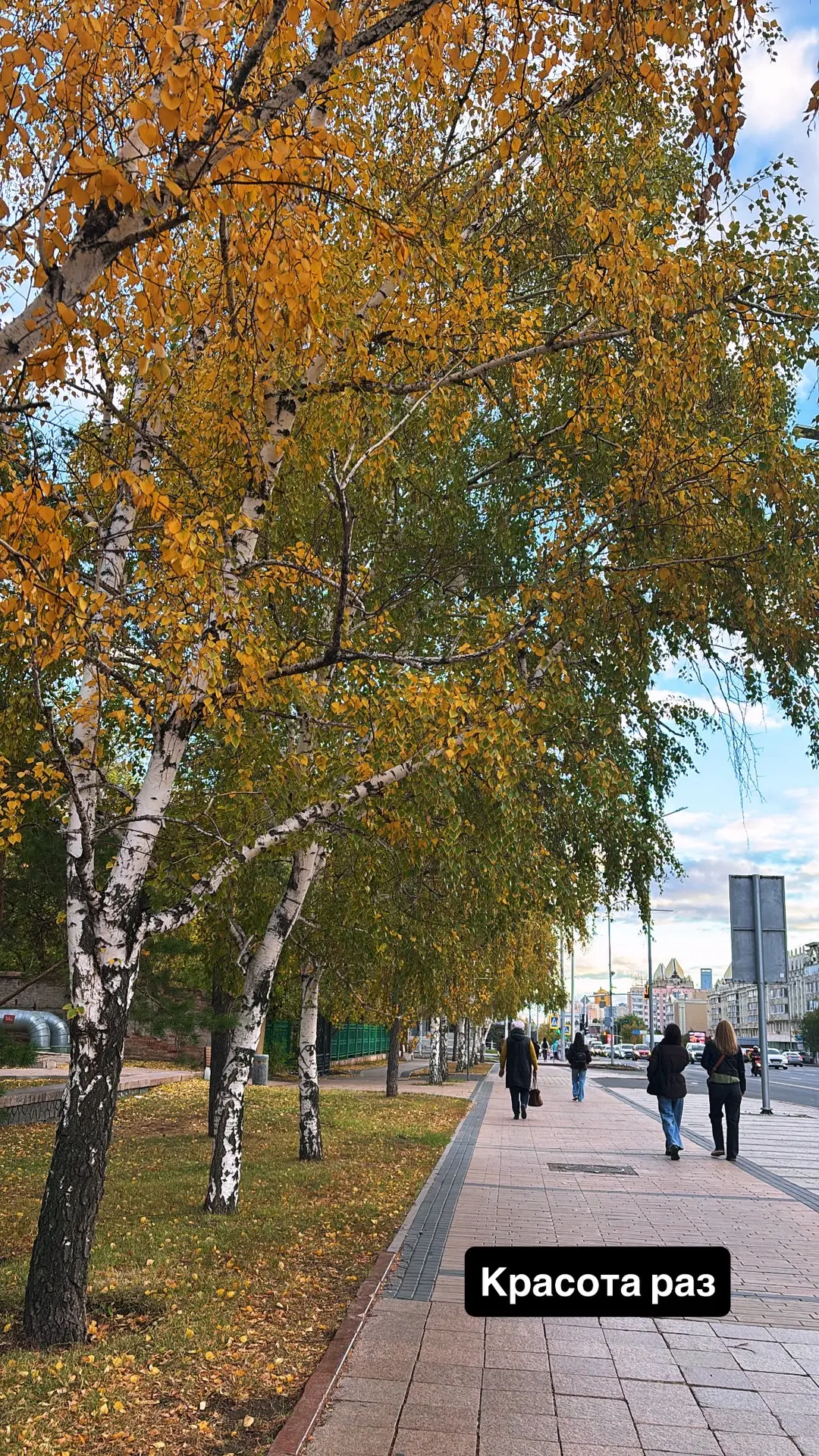 Немного красоты🥹🩷