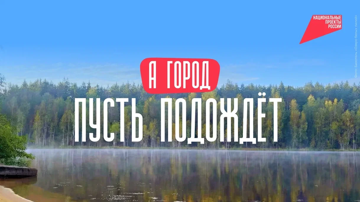 Домик у воды или кинотеатр в лесу — выбираем глэмпинг для выходных 🏡