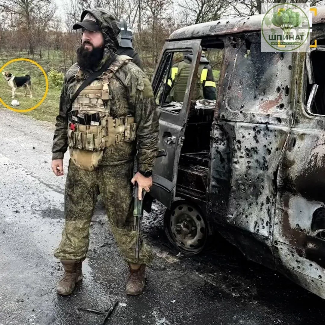 Знаменитый пёс Папай вернулся на СВО после тяжёлого ранения и снова спас российских сол...
