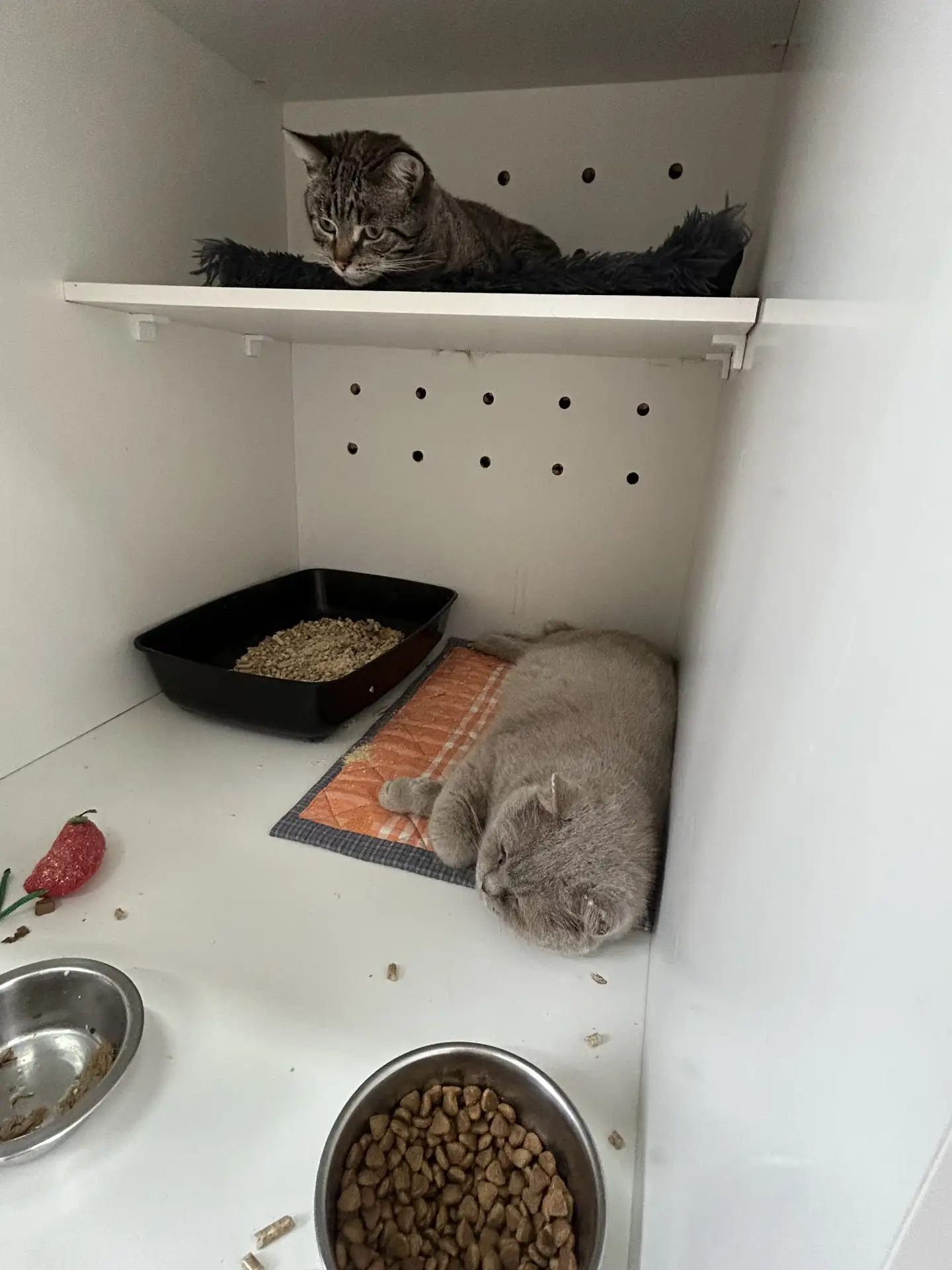 Чистоту в Котеле навели, теперь можно и отдохнуть