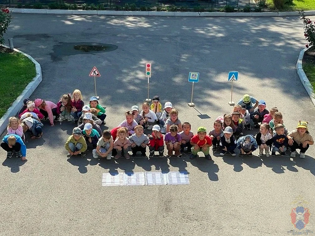 🚦 Итоги региональной акции «Дорожный патруль безопасности» в Борисоглебском районе