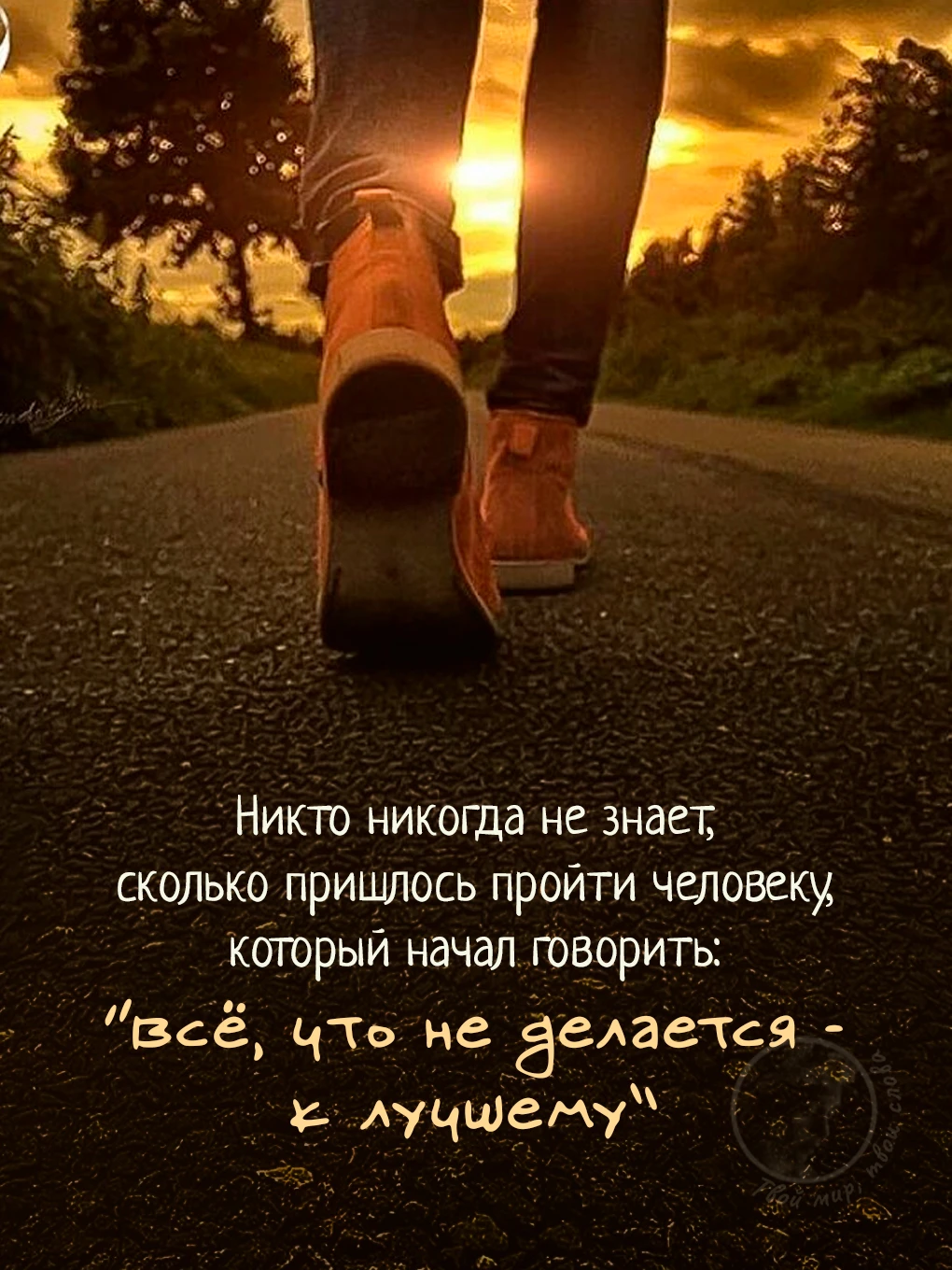 Твой мир, твои слова