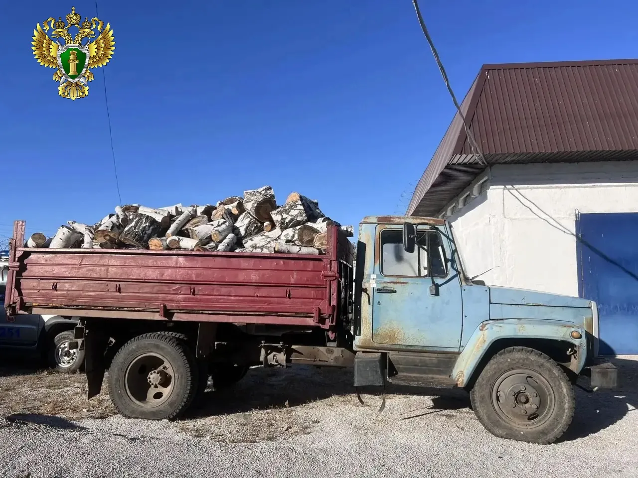 Житель Варненского района лишился грузовика и бензопилы за незаконную рубку лесных наса...