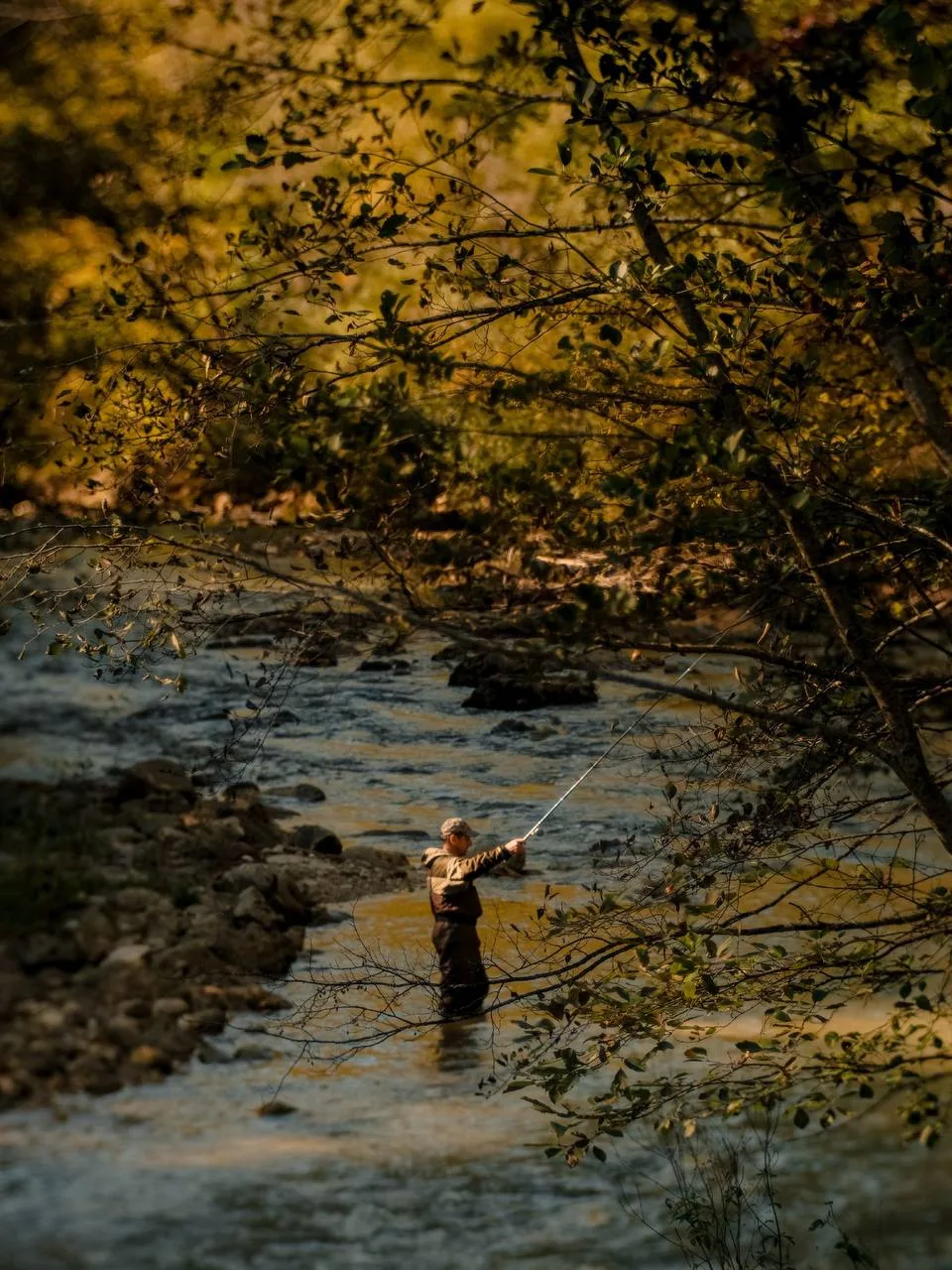 Осень в Мезмае — отдельный вид удовольствия🍂
