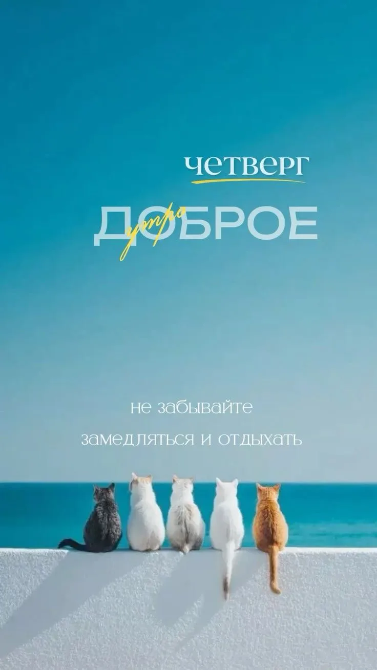 Доброе утро, волгоградцы! Легкой работы 👍