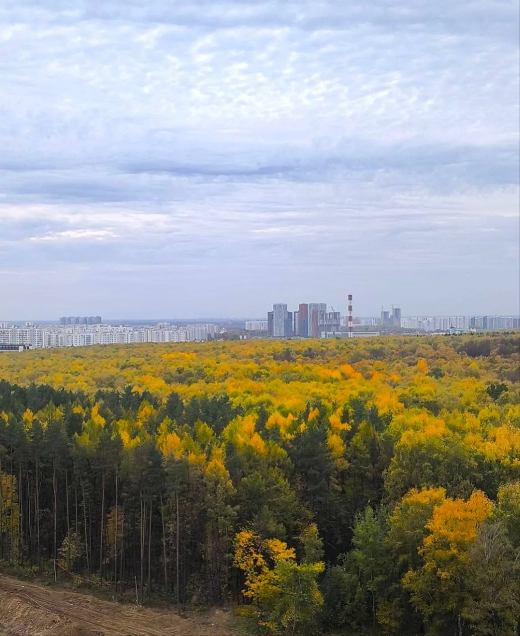 А вам по нраву осень? 🍂