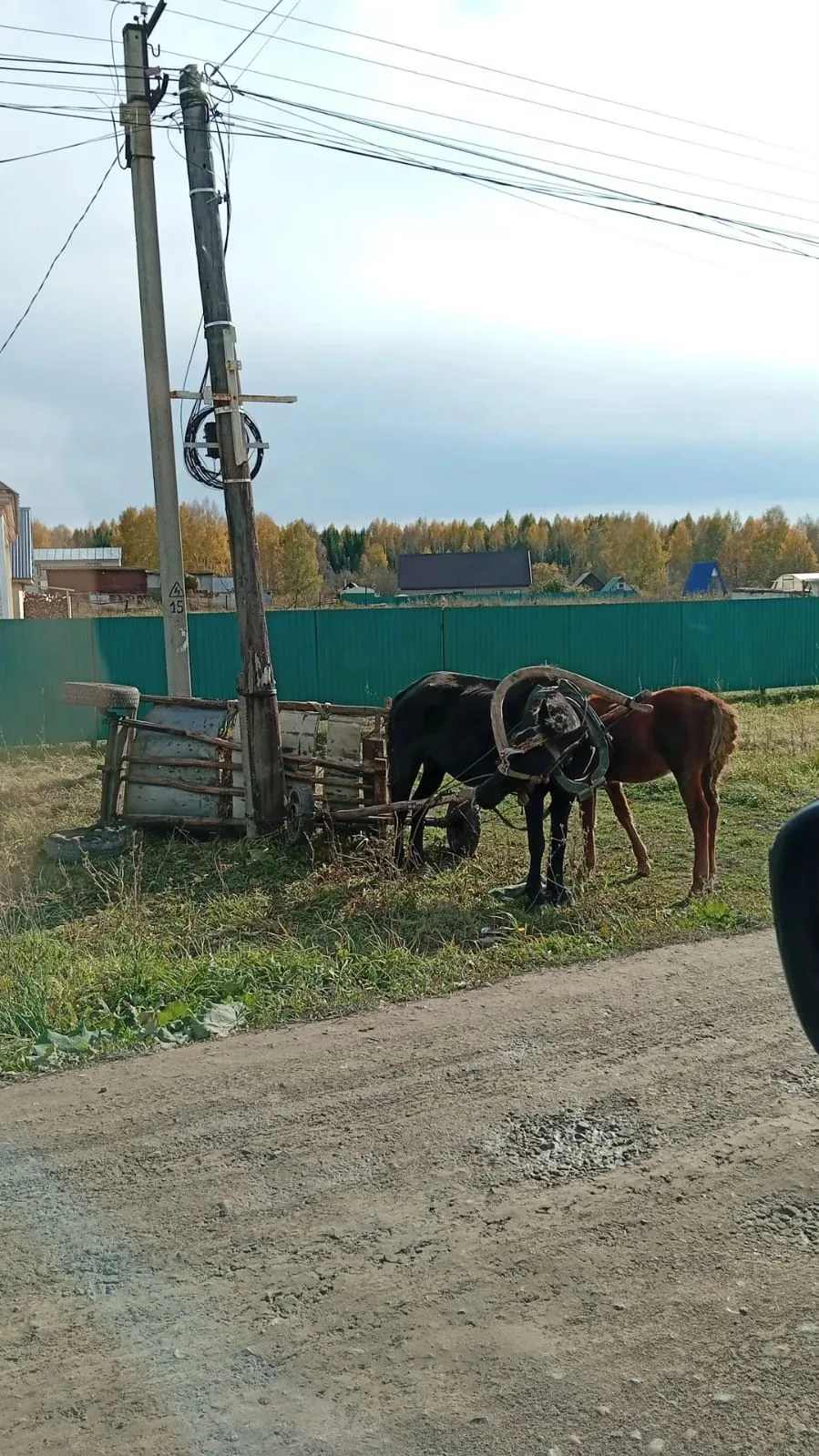 Надеждино дтп 🚔 нет