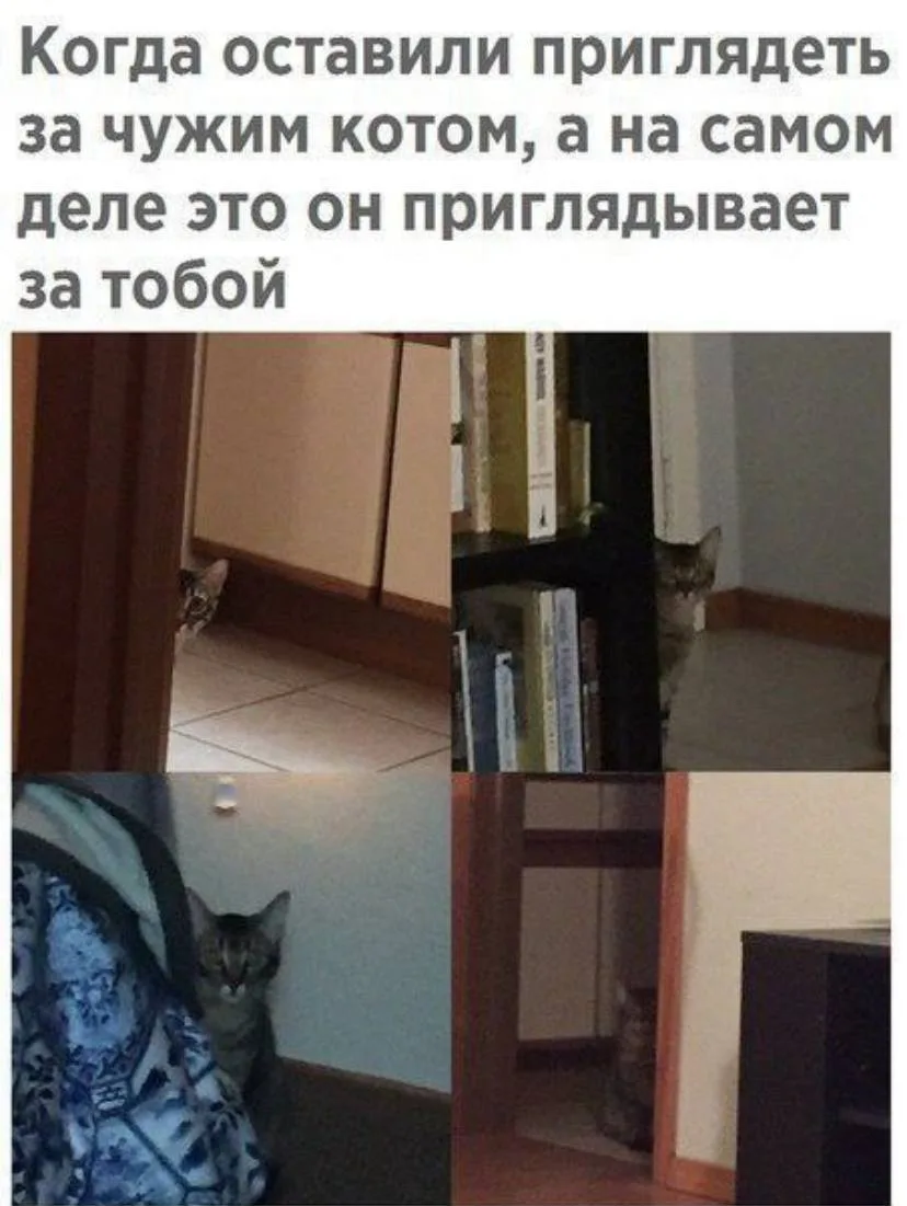 Не балуй мне тут. И к рыбам моим не приближайся.