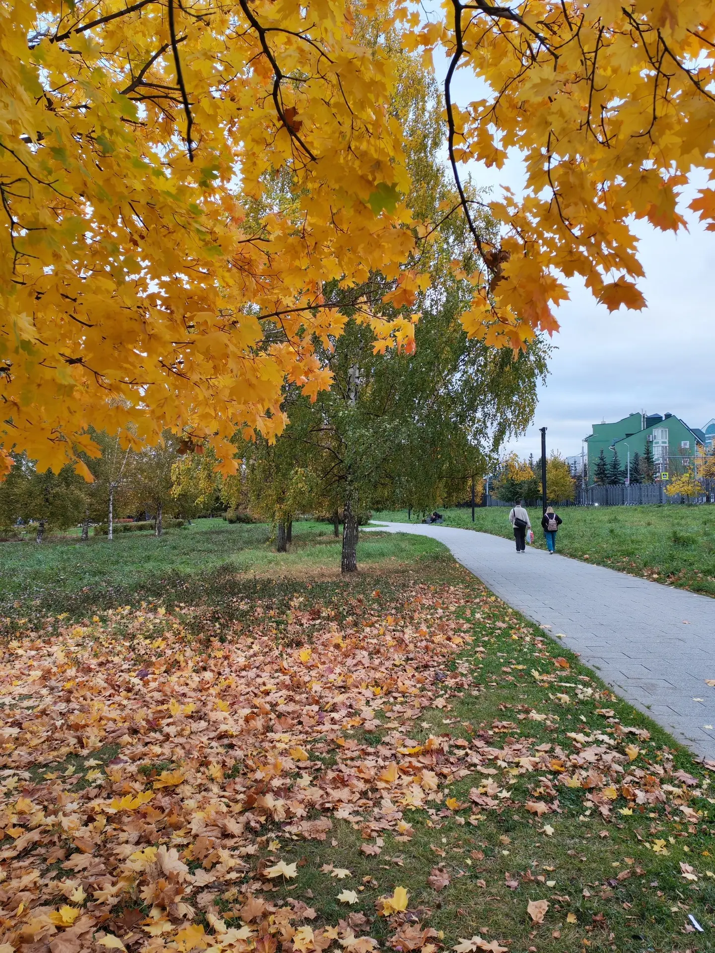 🌧☀️Солнца всё меньше, дождей всё больше