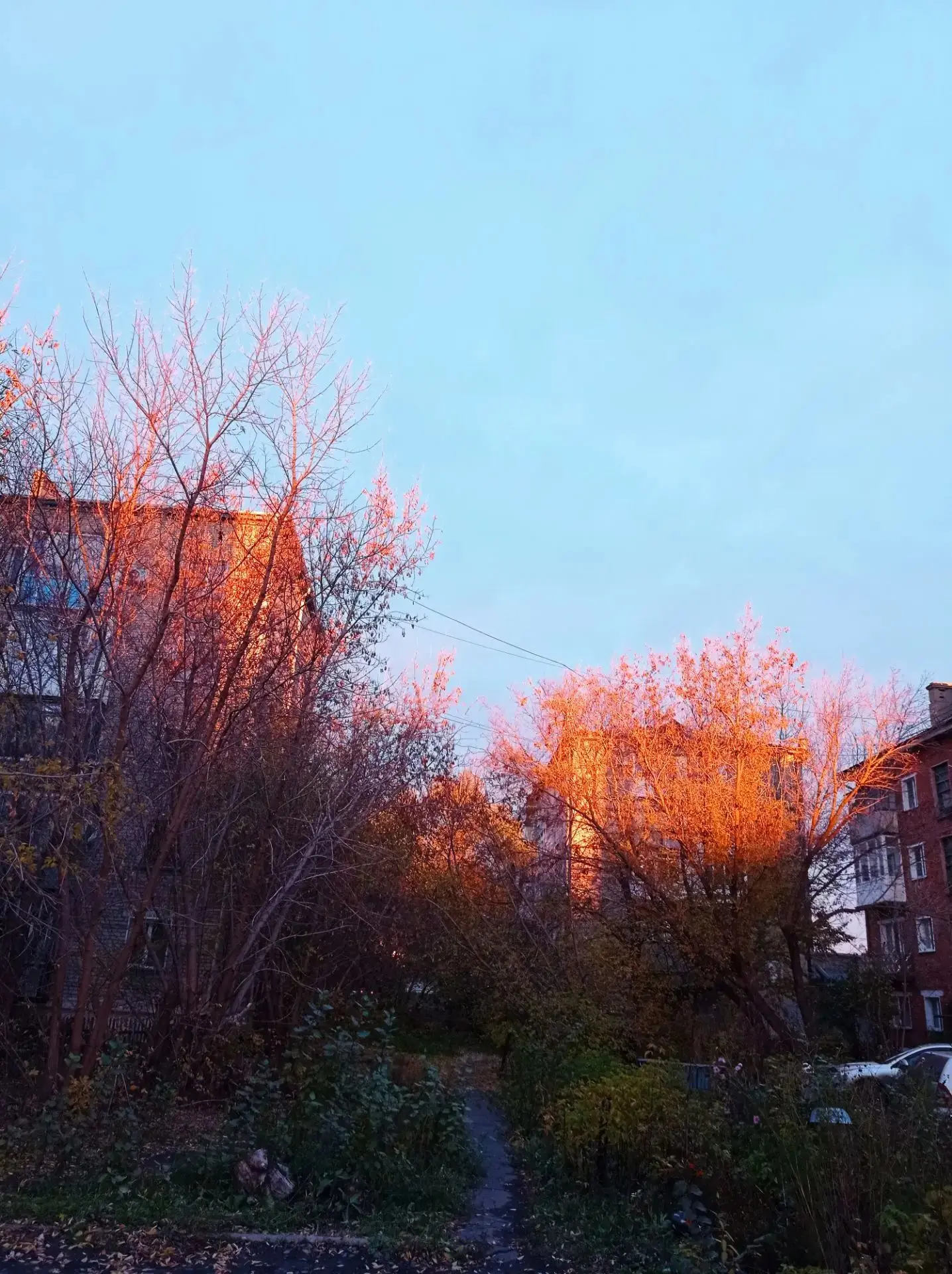 Фото от подписчицы 📸
