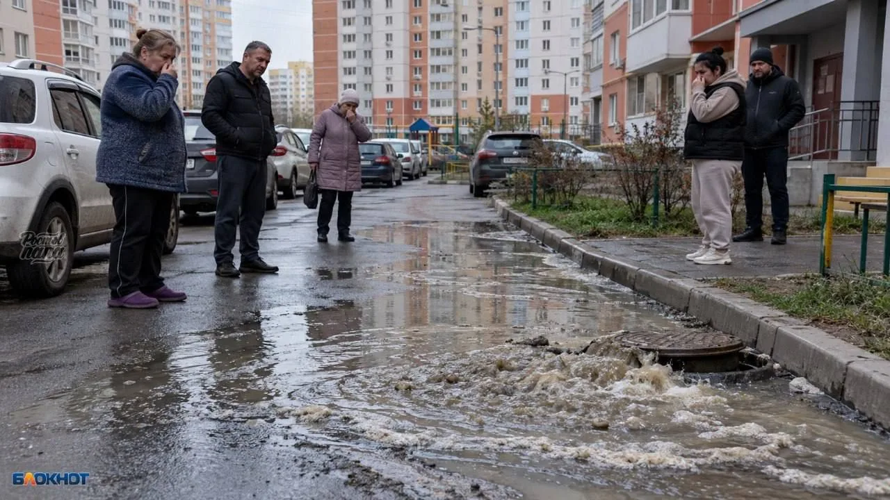 🤢 «Река из фекалий»: жители Левенцовки и Азова пожаловались губернатору на вонь