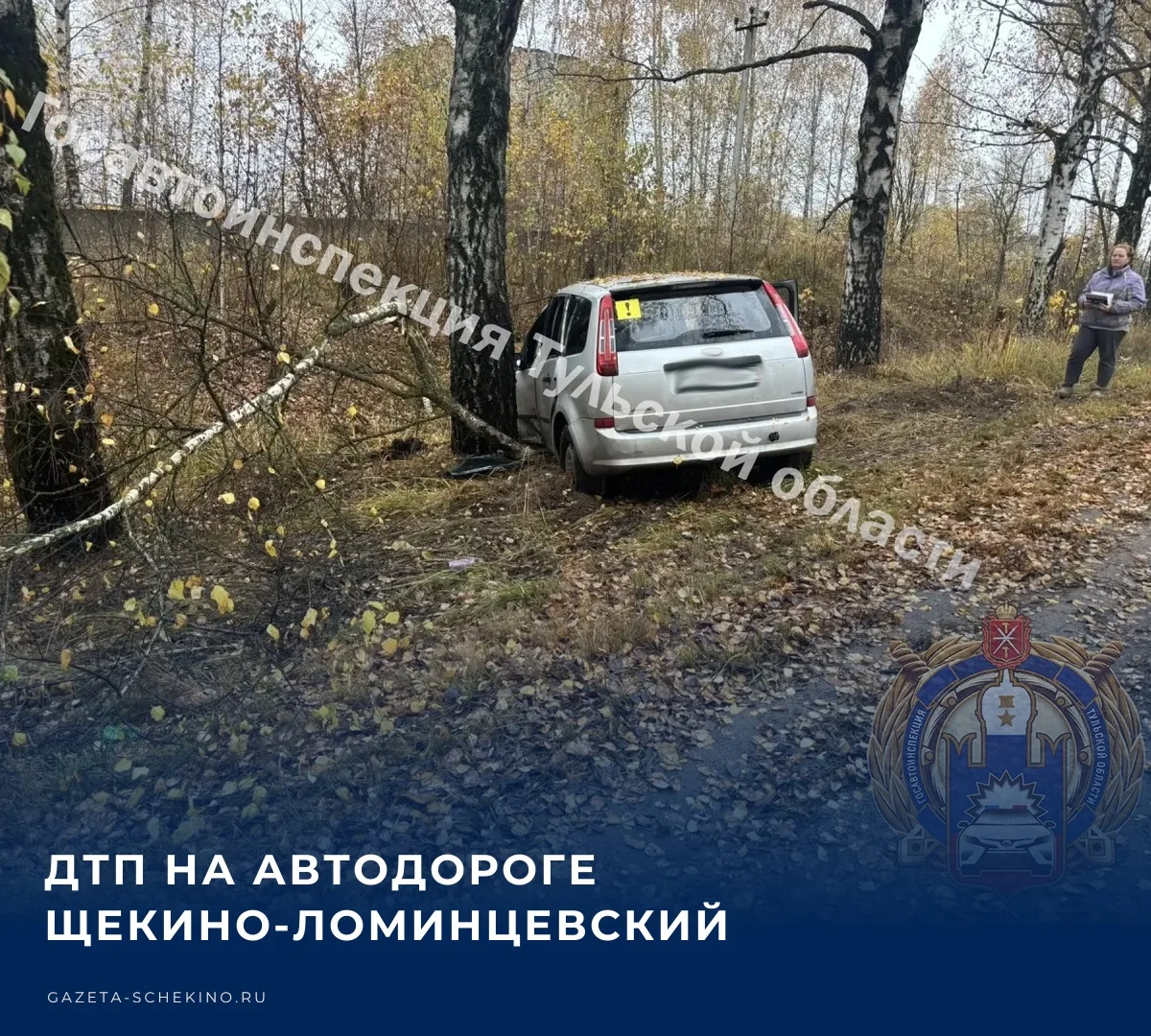 🚗 15 октября в 07:45 на 15-ом километре автодороги Щекино-Ломинцевский Щекинского райо...