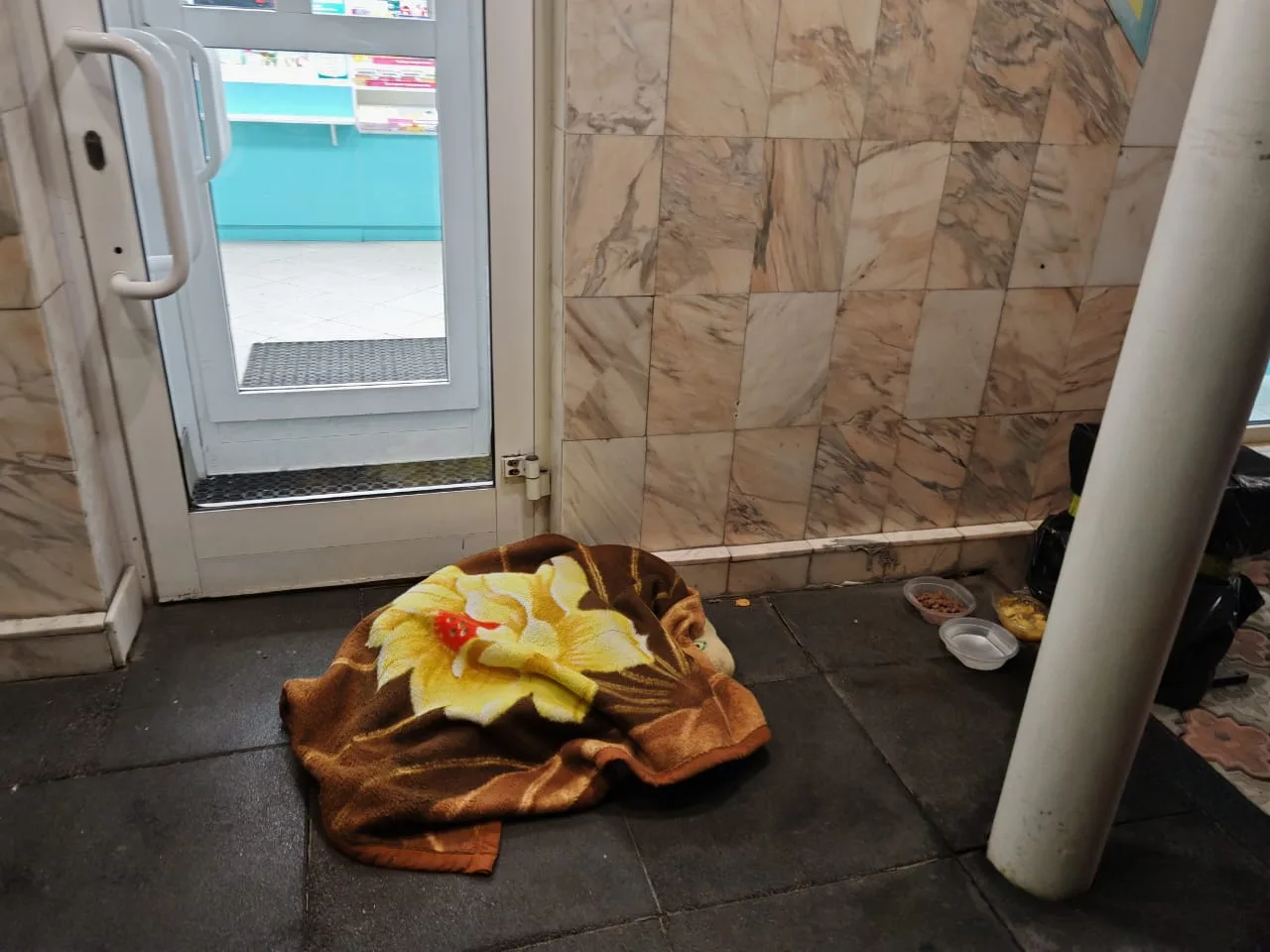 Около входа в аптеку, лежит собака, одеялком накрытая. Спит и трясется от холода. Еда с...