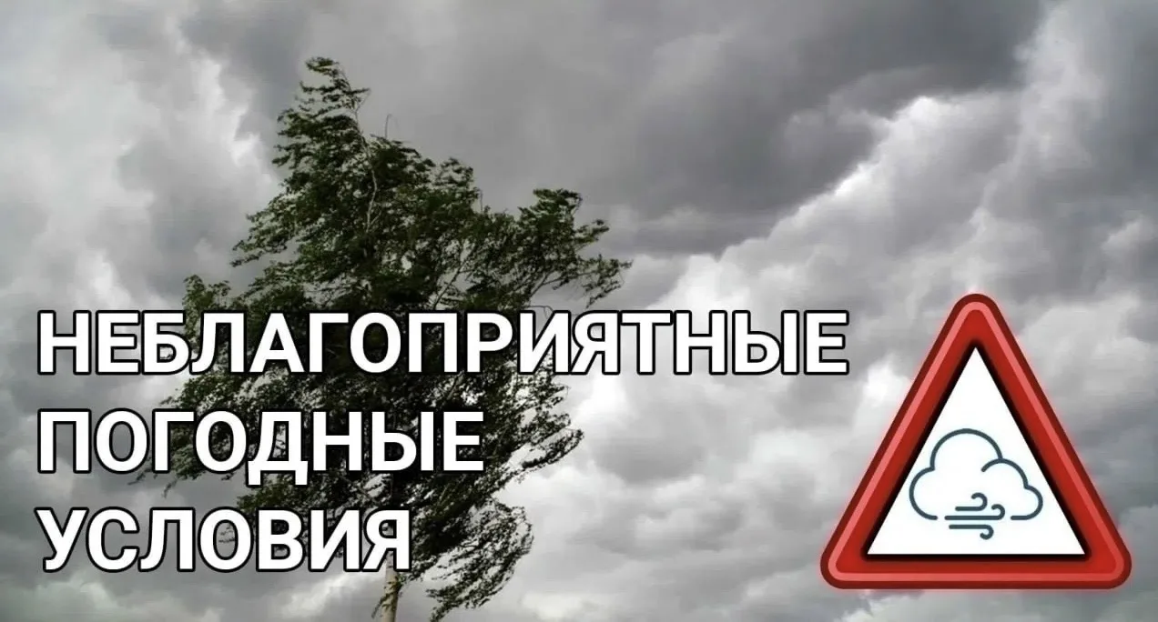 Внимание, тоболяки! 📢 По данным Тюменского ЦГМС, 9 октября по югу области ночью днем м...