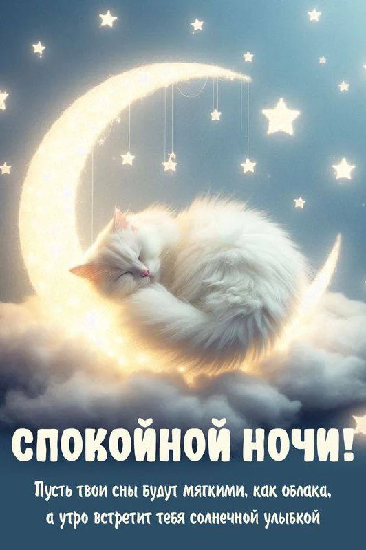 #спокойнойночи