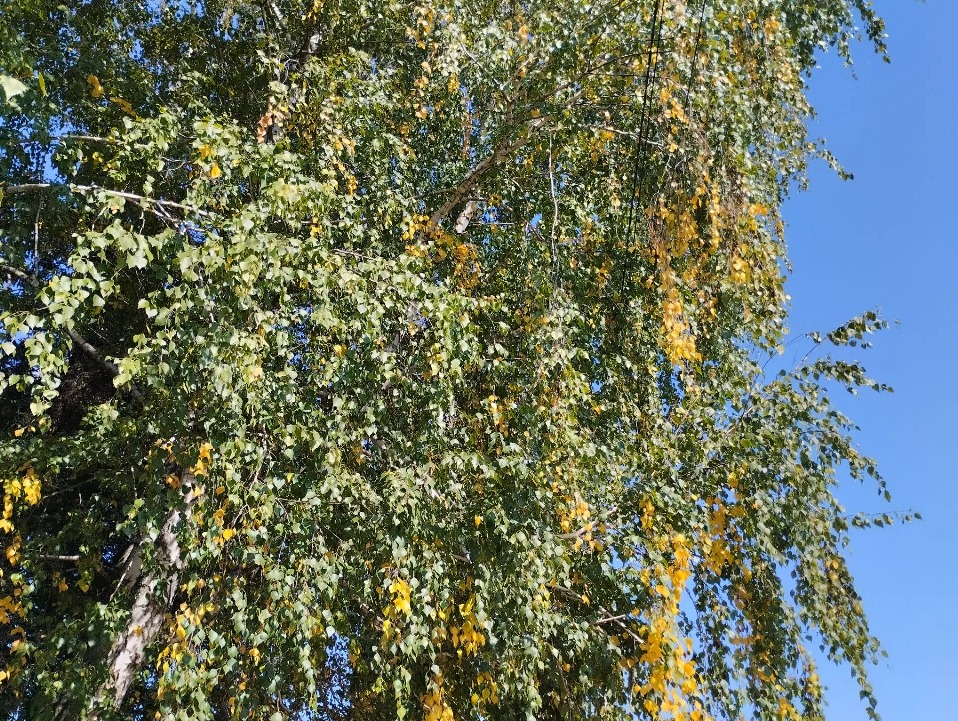 ☀️Такая разная осень🍂